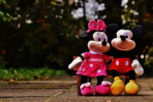 pourquoi un problème de paiement sur disneyland.fr