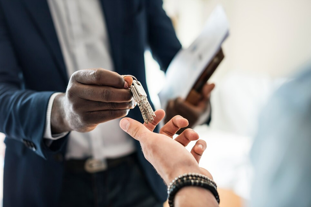 Image Article 4 Le Statut Lmnp